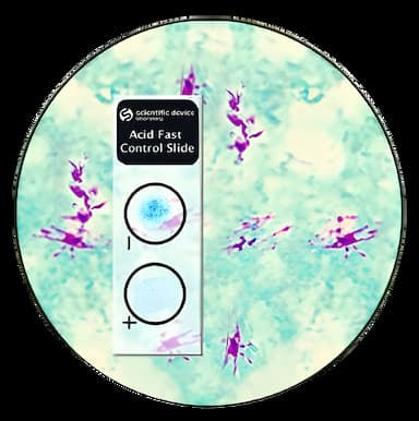 Acid Fast Stain Positive/Negative Control Slide Set for Microbial Identification