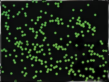 Fluorescent Particles Thermo Scientific™ Fluoro-Max™ Dyed Polystyrene Microsphere in Water Flow Cytometry / Microscopy pH 5.0 to 8.0 10 mL - 09980440