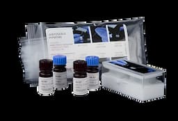 https://usmed-media.usamedpremium.com/public/assets/Catalog/Images/USAMP-22961859.webp