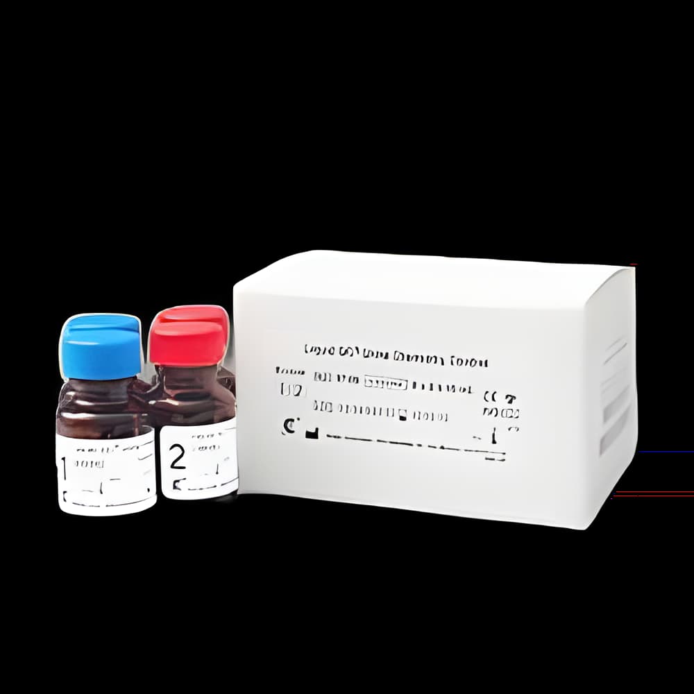 https://usmed-media.usamedpremium.com/public/assets/Catalog/Images/USAMP-26000890.webp