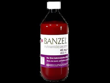 Banzel® Rufinamide 40 mg / mL Suspension Bottle 460 mL