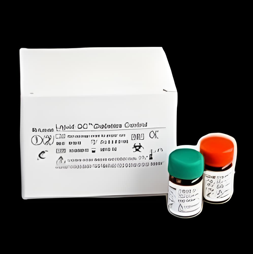 https://usmed-media.usamedpremium.com/public/assets/Catalog/Images/USAMP-33105463.webp