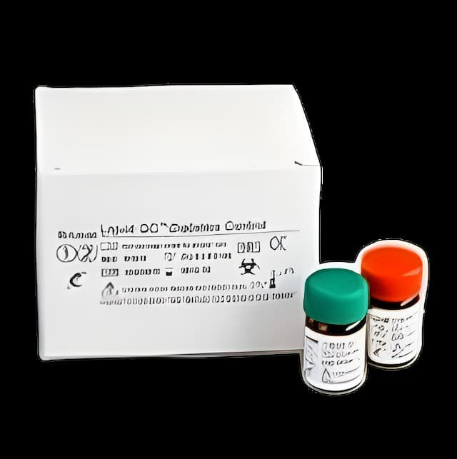 https://usmed-media.usamedpremium.com/public/assets/Catalog/Images/USAMP-33105463.webp