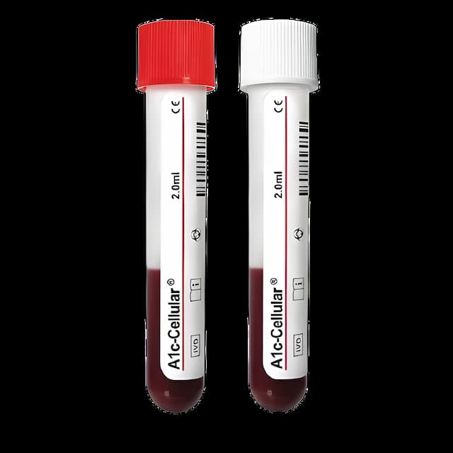 https://usmed-media.usamedpremium.com/public/assets/Catalog/Images/USAMP-36042795.webp