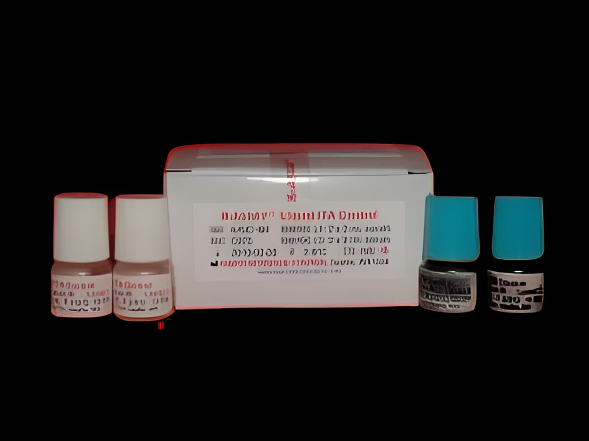 https://usmed-media.usamedpremium.com/public/assets/Catalog/Images/USAMP-40145700.webp
