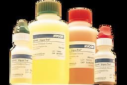 https://usmed-media.usamedpremium.com/public/assets/Catalog/Images/USAMP-42866582.webp
