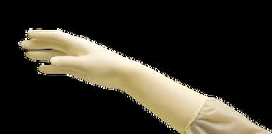 Surgical Glove DermAssist® Size 7 Sterile Latex Standard Cuff Length Smooth Ivory Not Chemo Approved