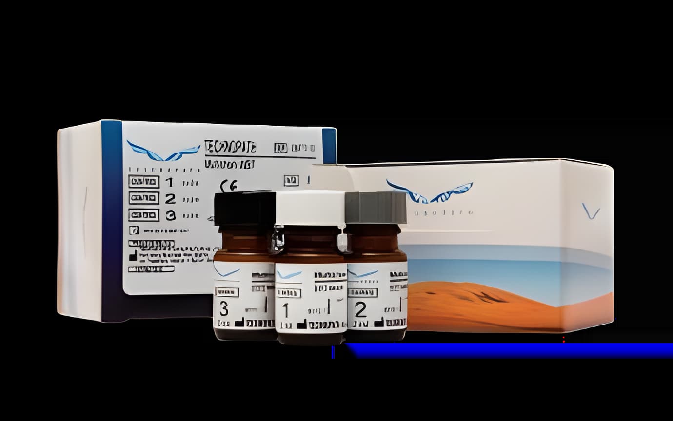https://usmed-media.usamedpremium.com/public/assets/Catalog/Images/USAMP-55228855.webp