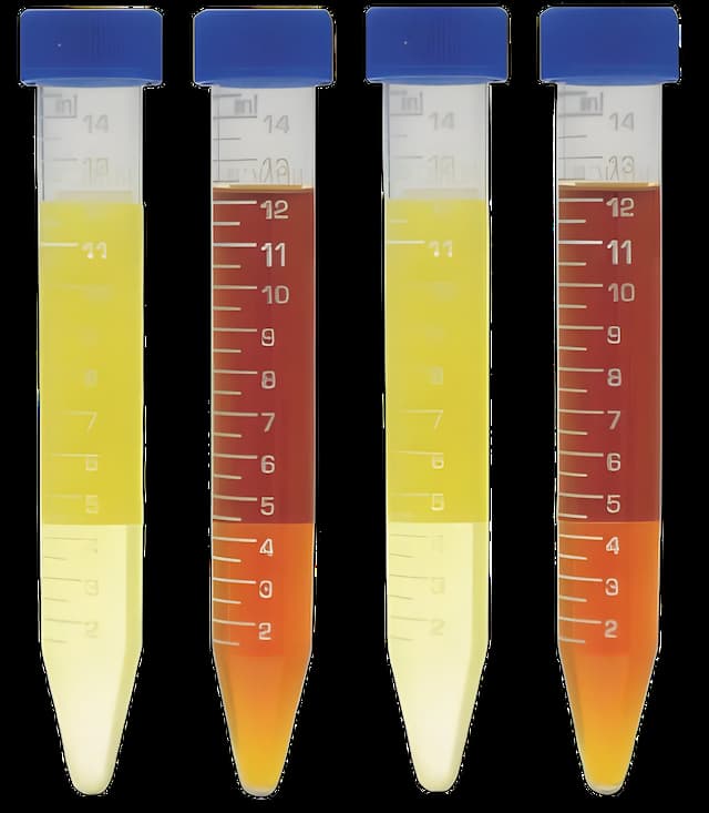 https://usmed-media.usamedpremium.com/public/assets/Catalog/Images/USAMP-58882895.webp