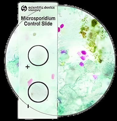Mycology Control Set with Microsporidia: Positive/Negative Slides