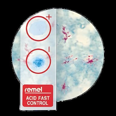 QC-Slide™ AFB Stain Positive/Negative Control Set for Mycobacterium Tuberculosis