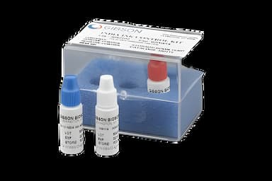 Microbial Identification Control Set for India Ink Wet Mounts - Positive/Negative